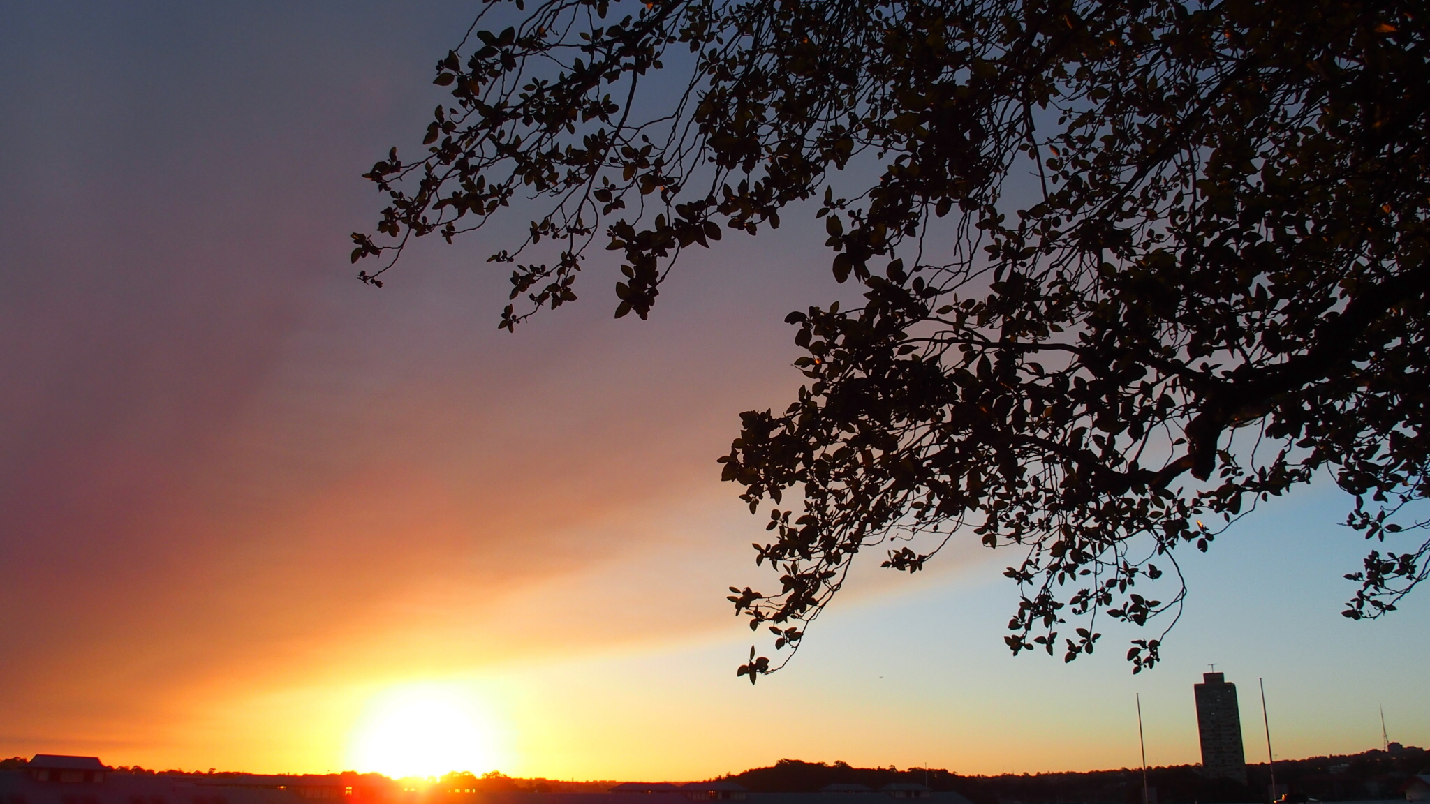 sunset.jpg