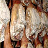 v001.jpg